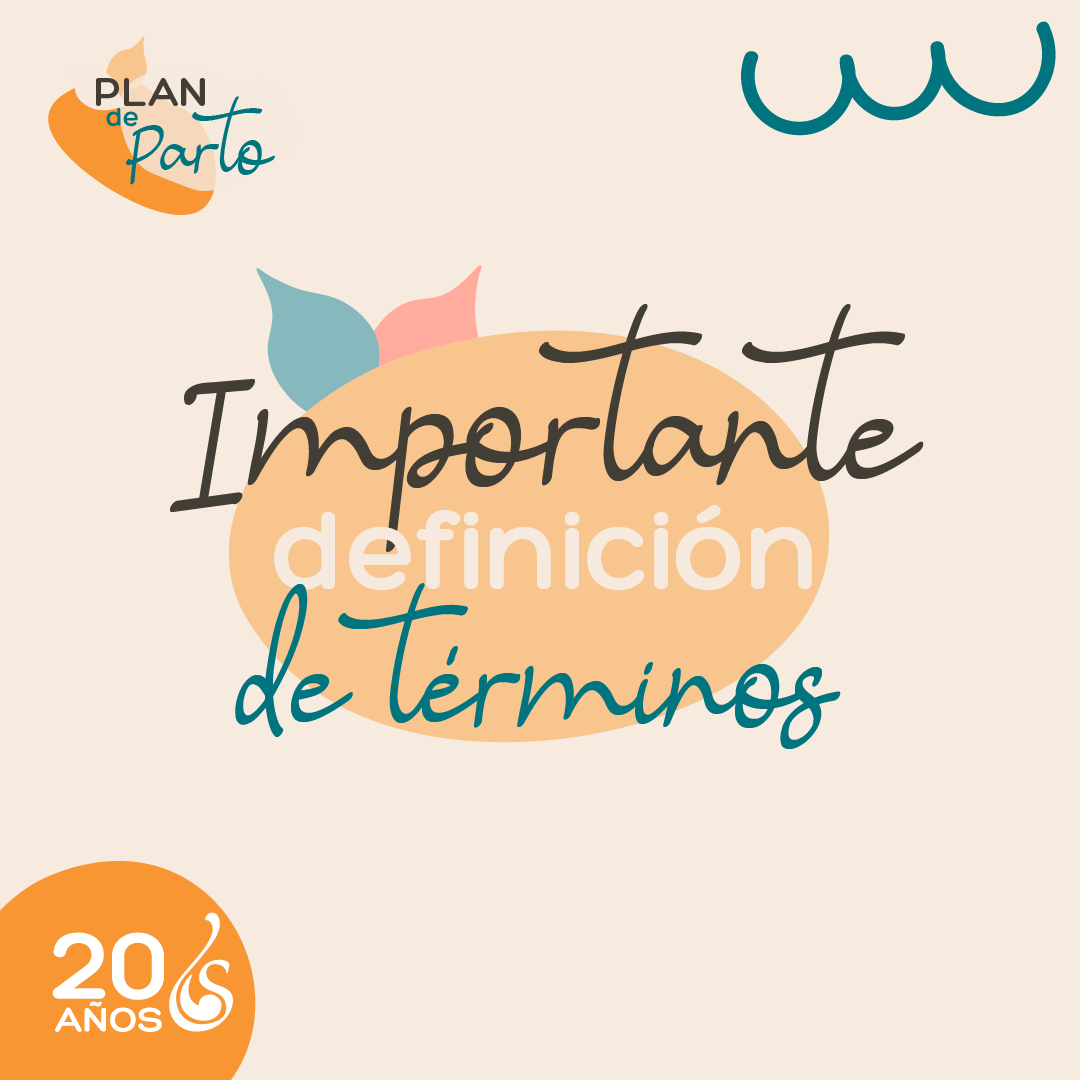 Importante: Definición de términos