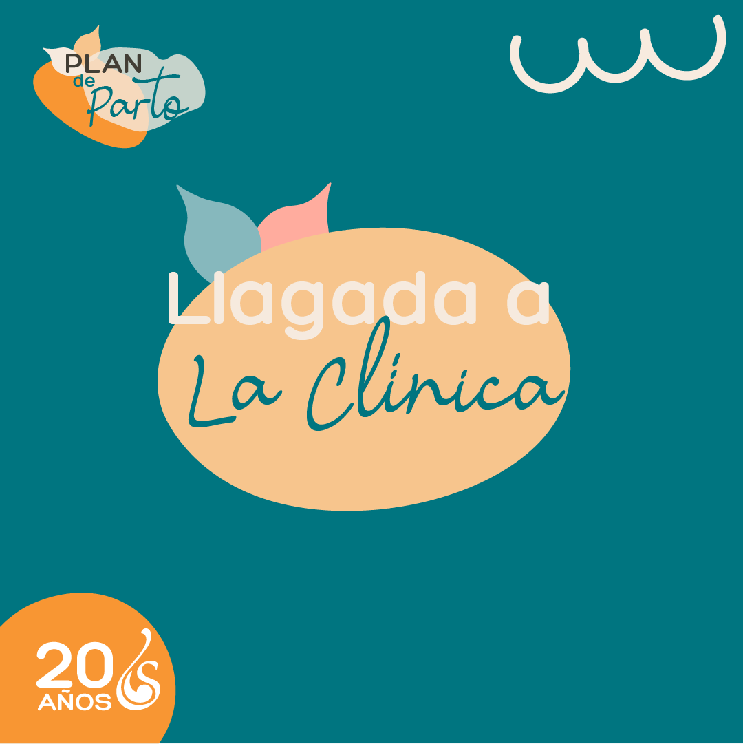 Llegada a la clinica