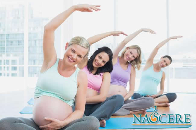 Estimulación Intrauterina: Técnica Motora