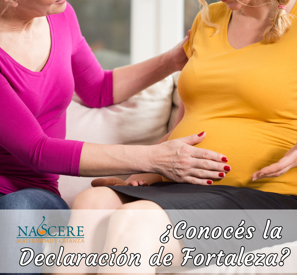 ¿Conocés la Declaración de Fortaleza?