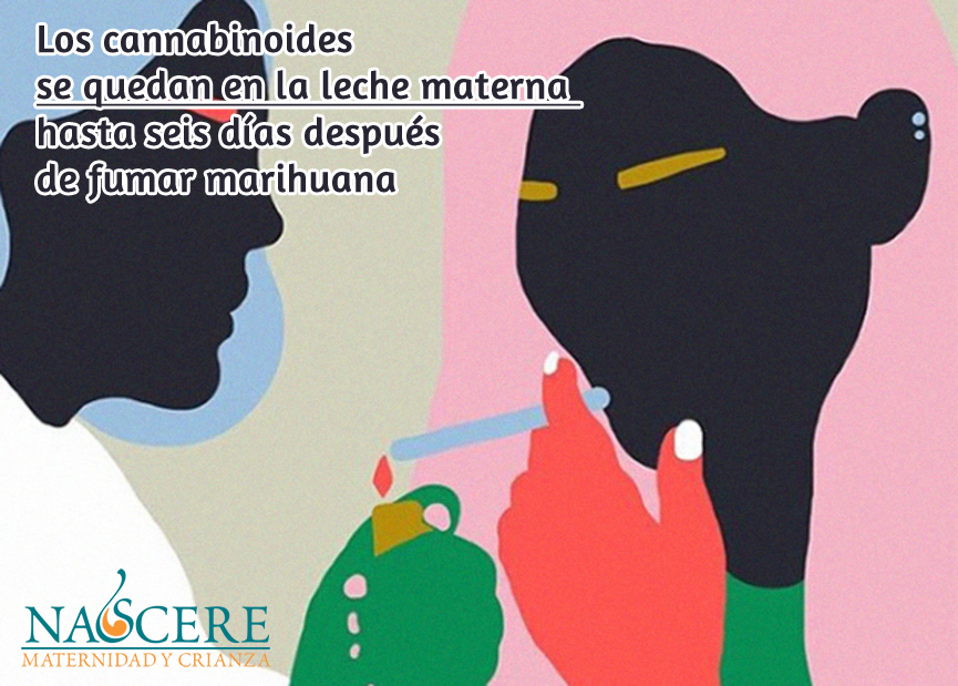 Los cannabinoides se quedan en la leche materna hasta seis días después de fumar marihuana