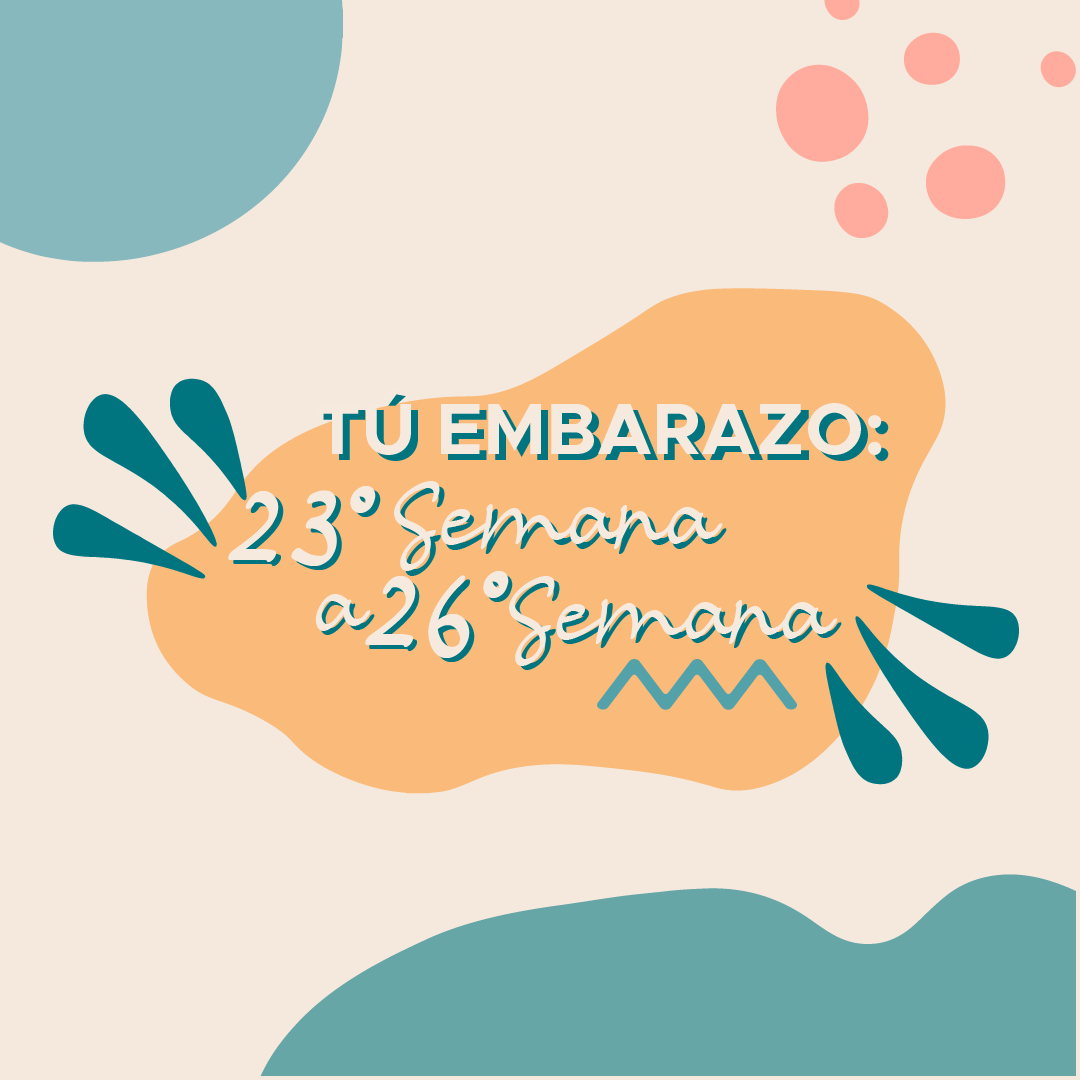 Tu embarazo: 23° Semana a 26° Semana