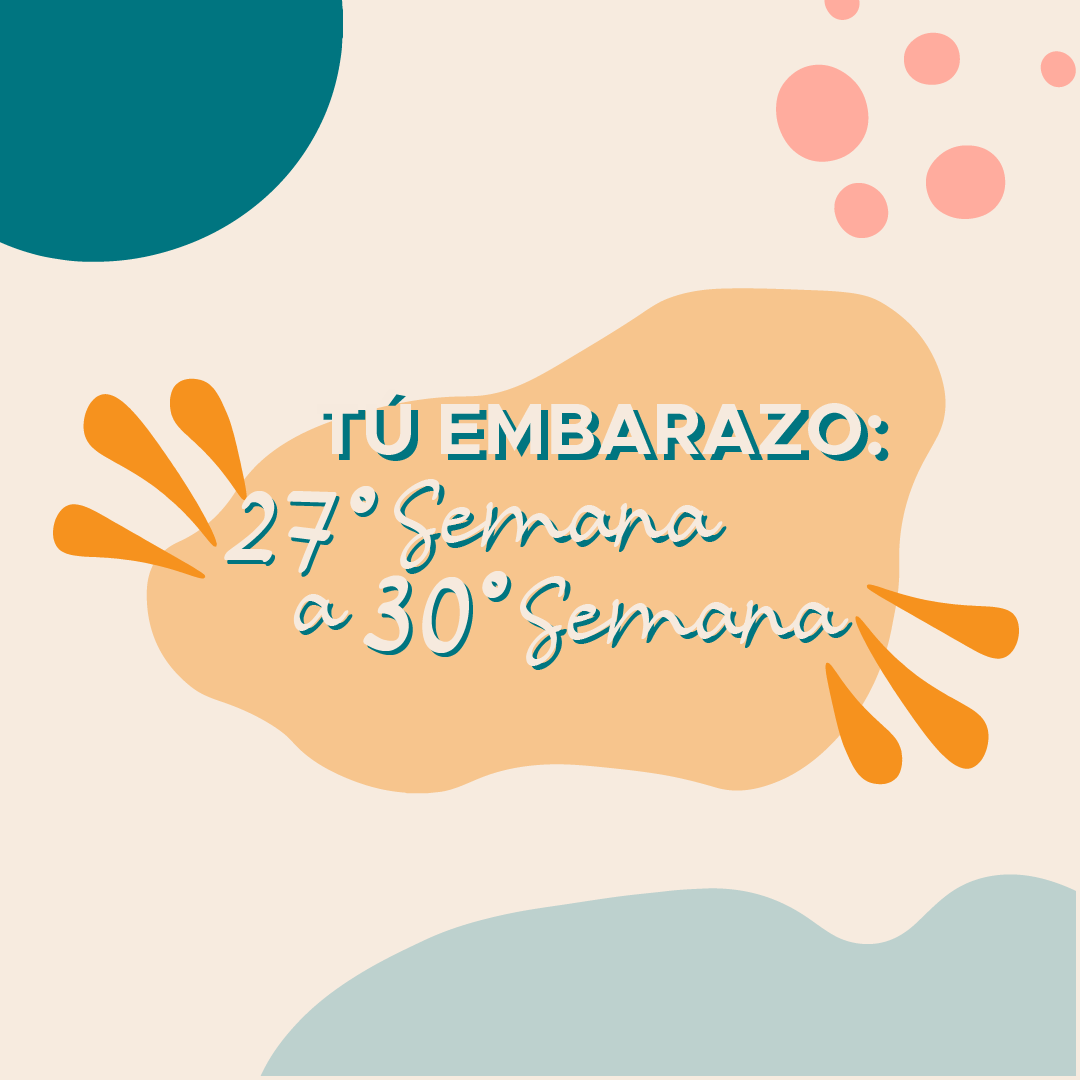 Tu embarazo: 27° Semana a 30° Semana
