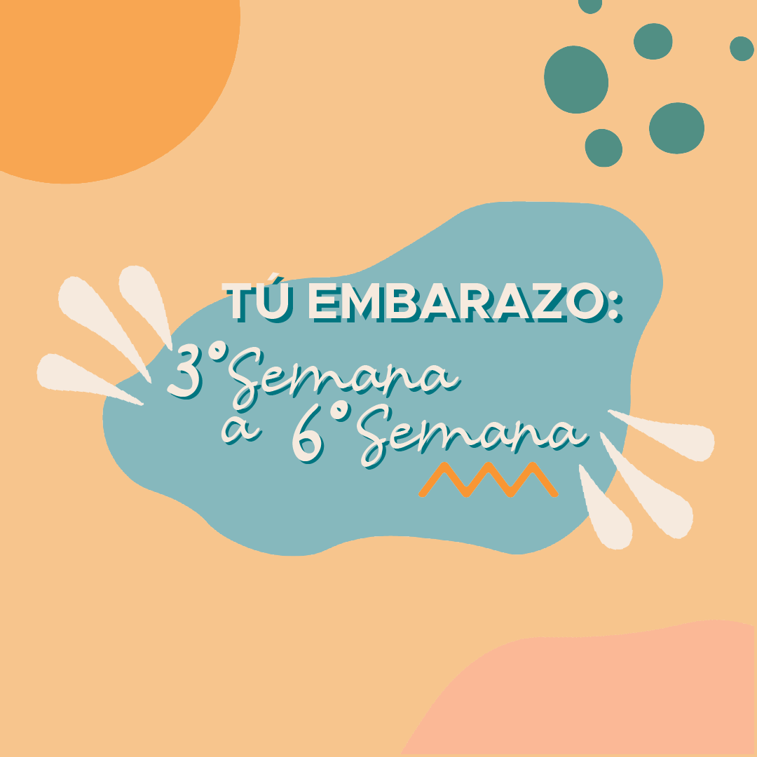 Tu embarazo: 3° Semana a 6° Semana