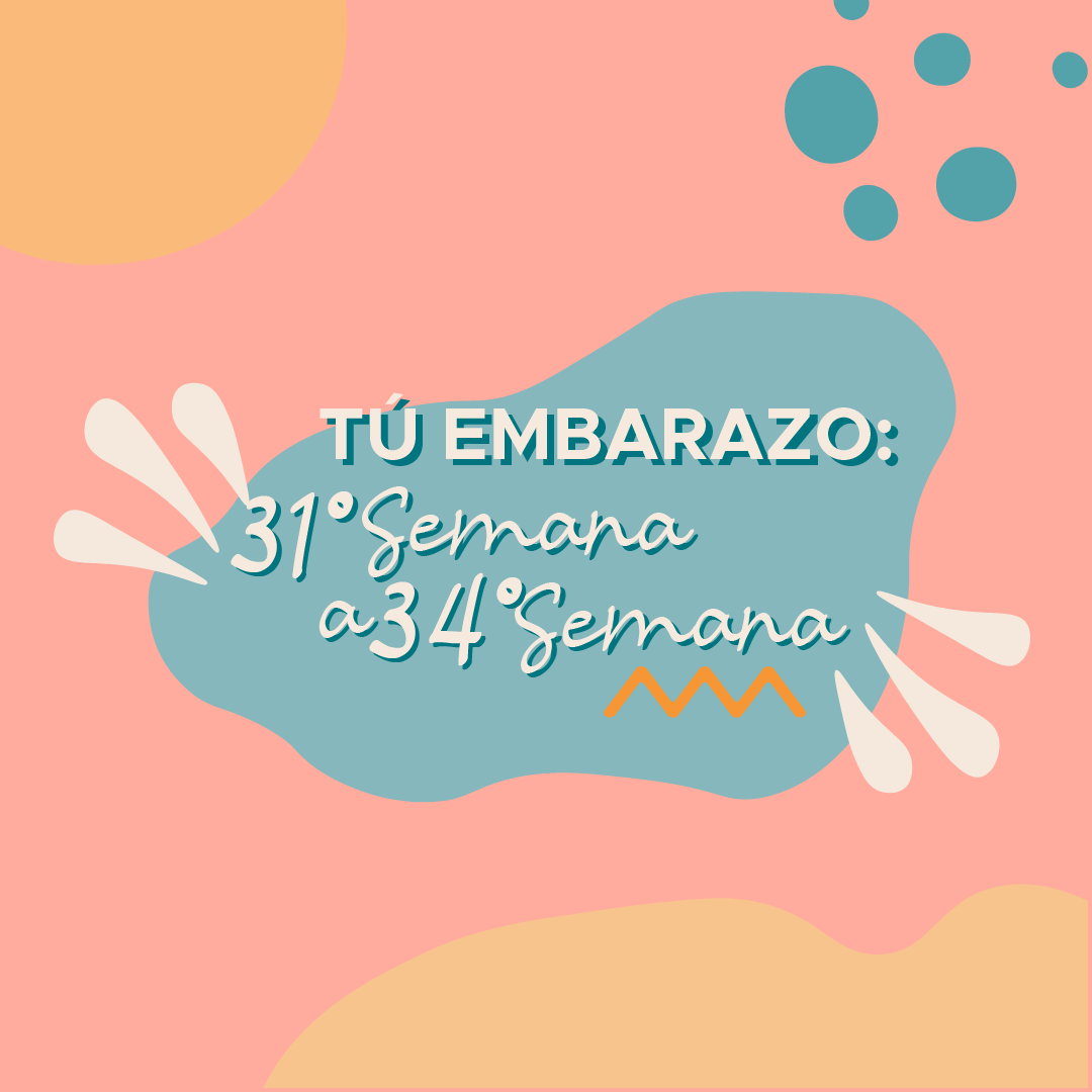 Tu embarazo: 31° Semana a 34° Semana