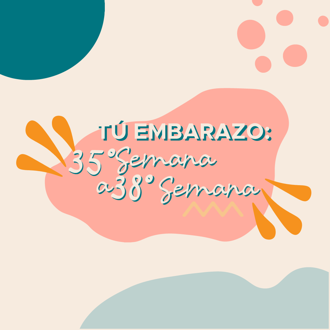 Tú Embarazo: 35° Semana a 38° Semana