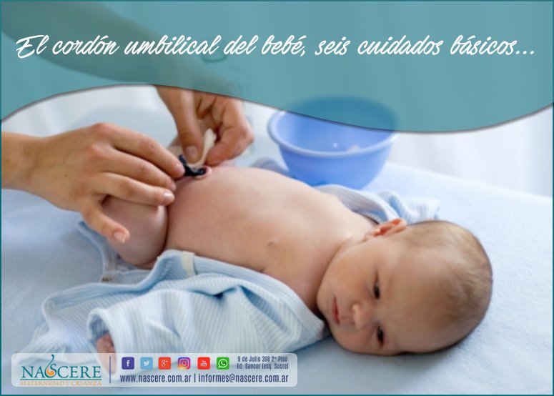 El Cordon Umbilical Del Bebe Seis Cuidados Basicos Nascere Maternidad Y Crianza