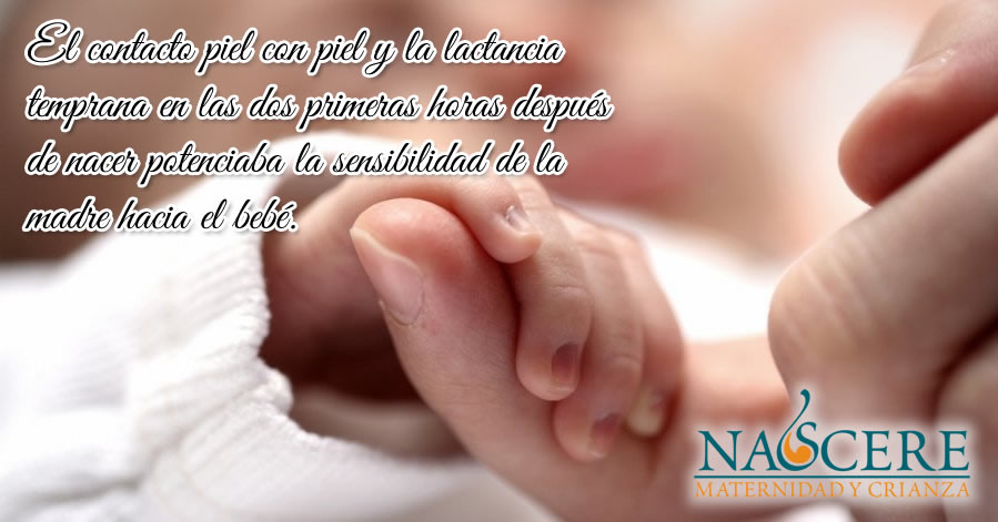 vinculo mama bebe 1